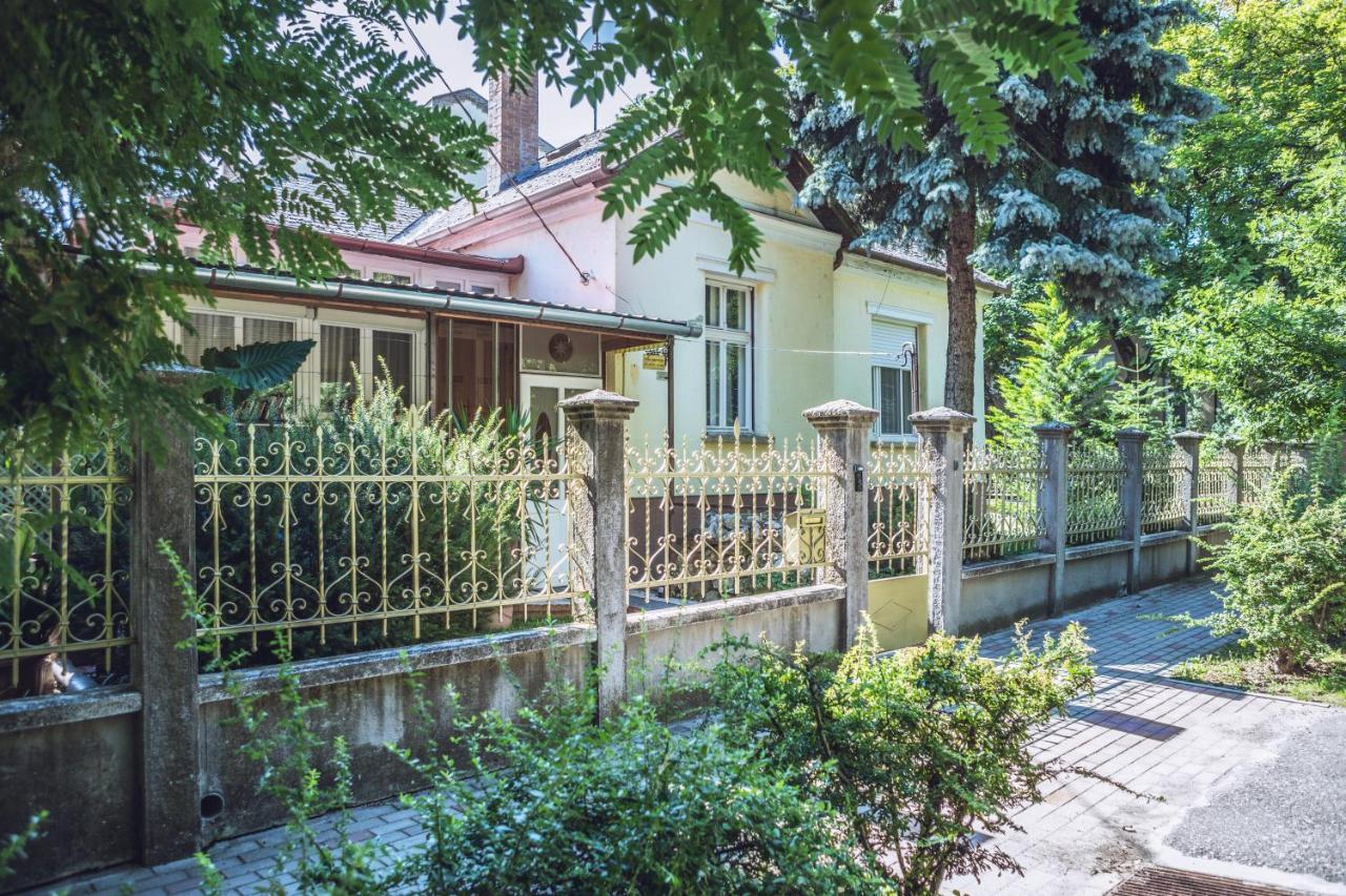 Villa Apartman Makó Dış mekan fotoğraf