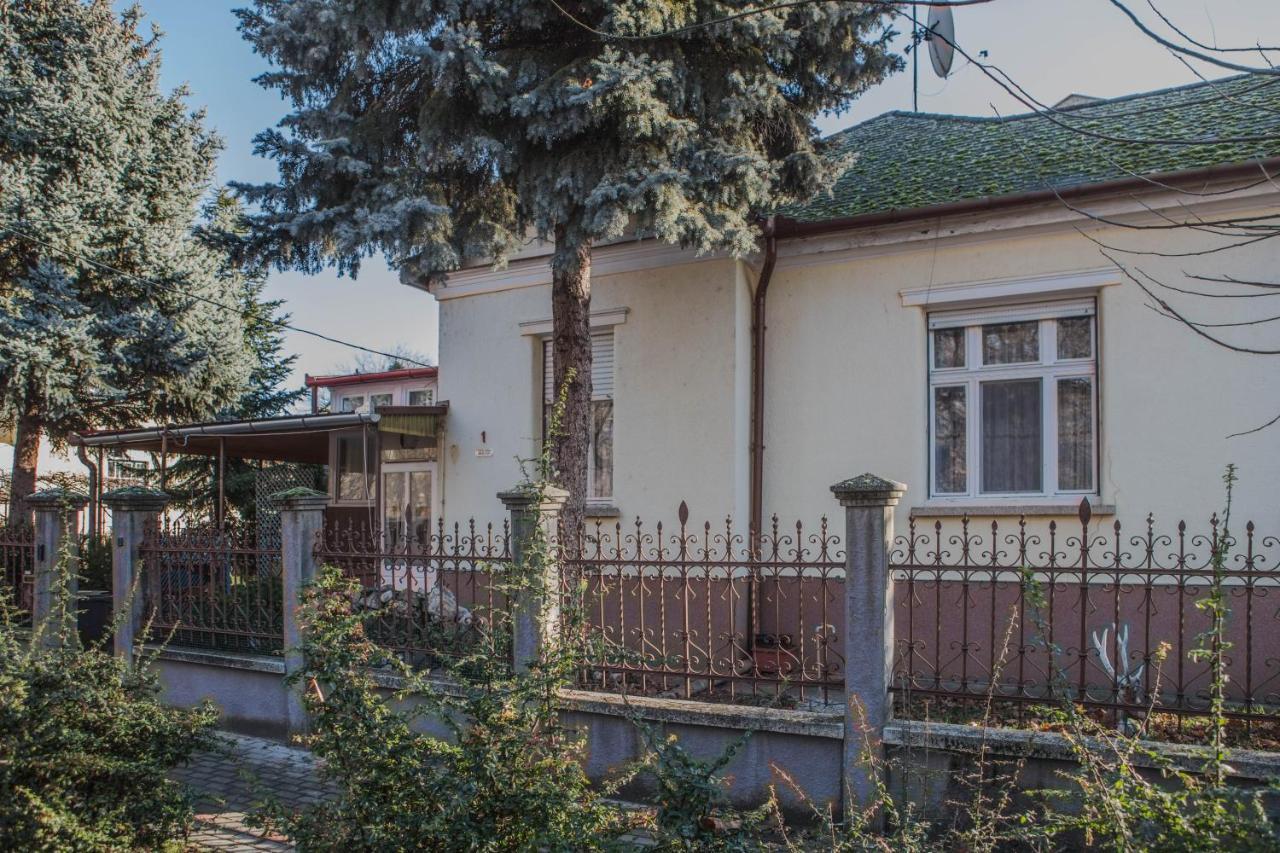 Villa Apartman Makó Dış mekan fotoğraf