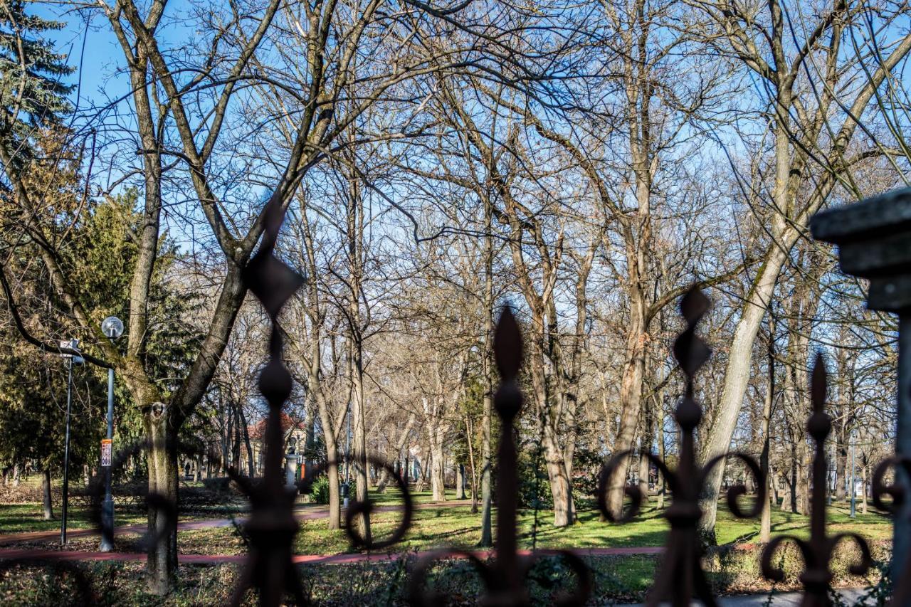 Villa Apartman Makó Dış mekan fotoğraf